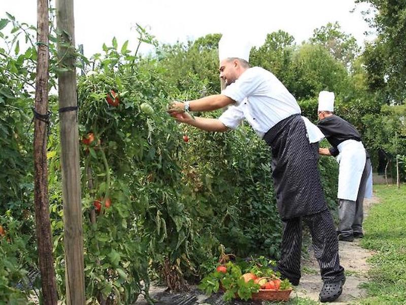 B19AF43F43B97703A32A3383970EC0D4