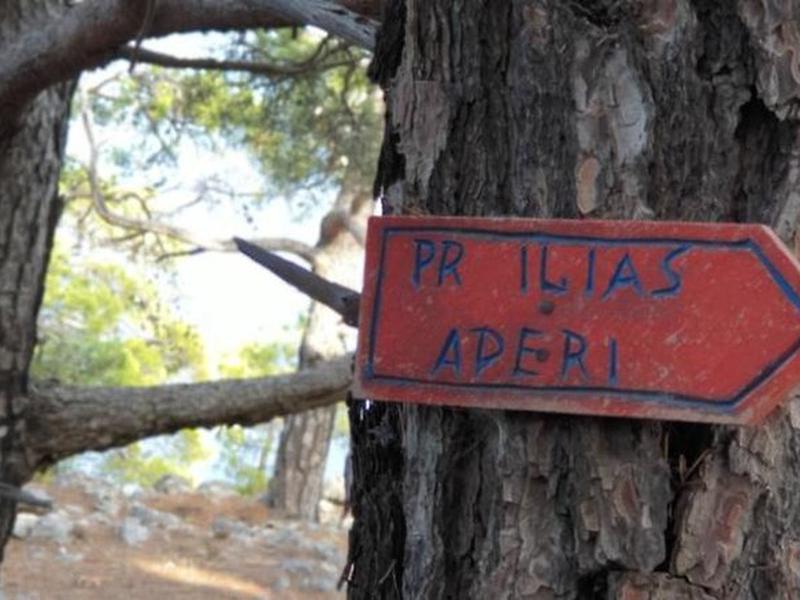 3B9038956200E59BDCD17D44428A3BB6