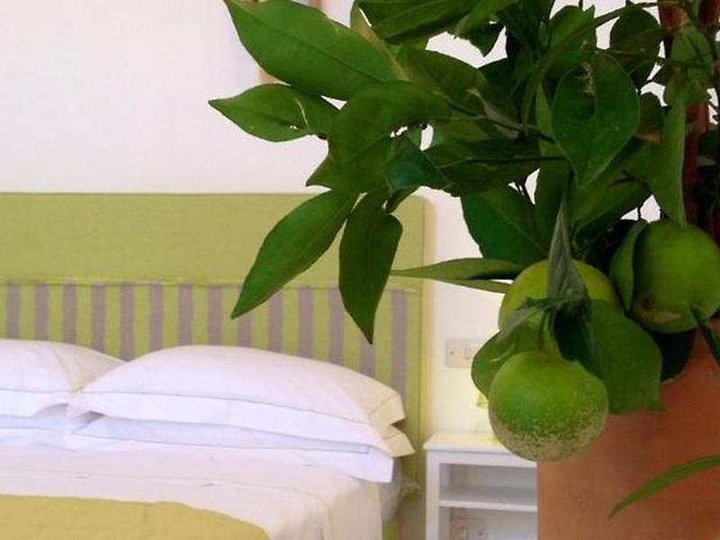 82061FD34E88F87B886D0CA9B2472161