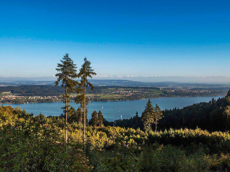 C31732743FDFED9940008A5414309D68