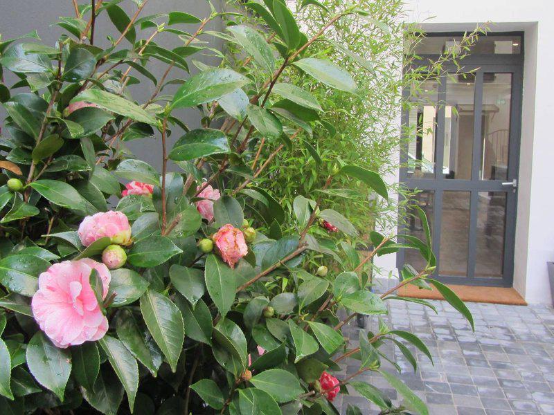 AF15A178E0C5481E530A88B612B53D41