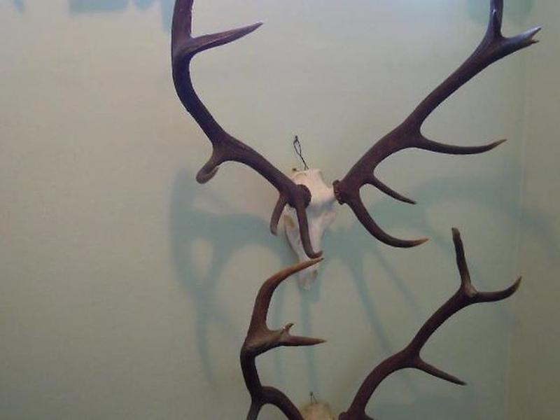 CF6FA10776CAE5C713AC2C28237CE269