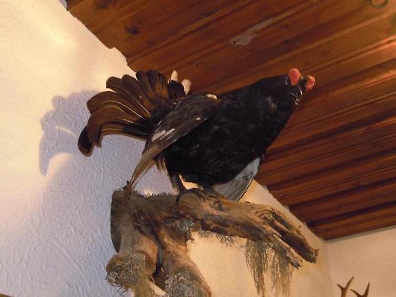 4429DDD883BB19370337FA6967F46C8C