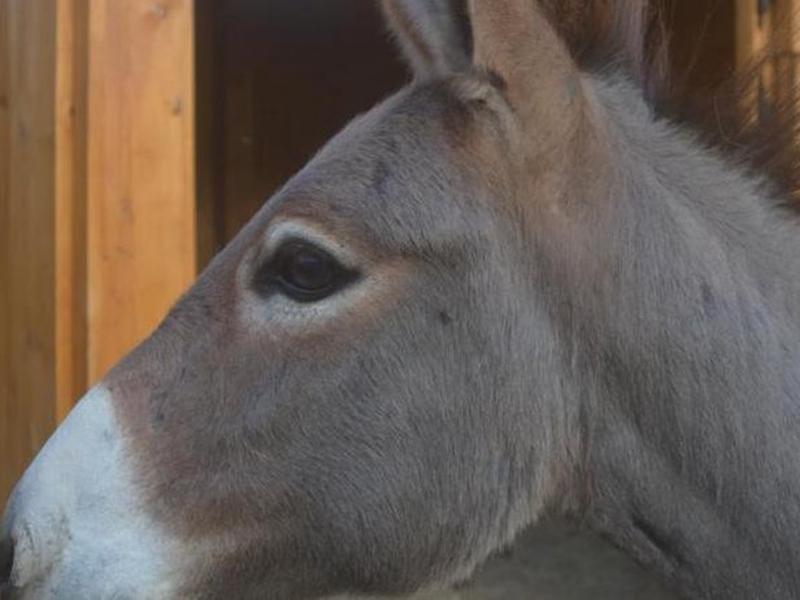 E1BD9D7E85CE7351D88A7D35A90BF9BD