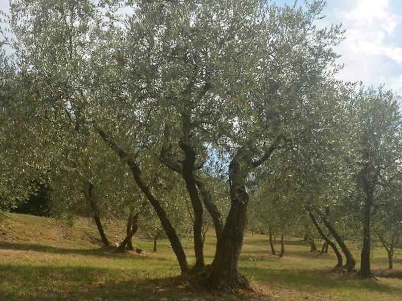 234204C4085827D81A1BBD766D0EDA66