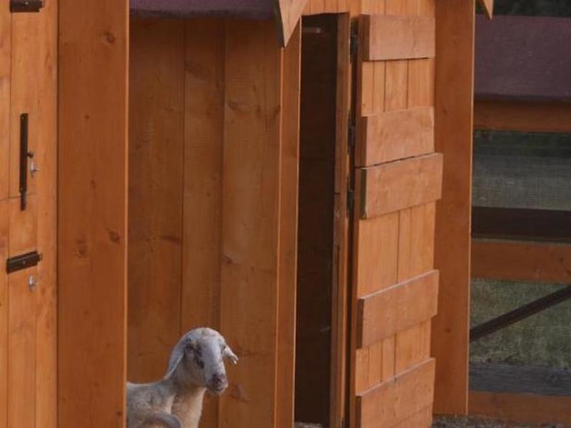 E1E6B9E4EE108151DC99084C7DE68D60