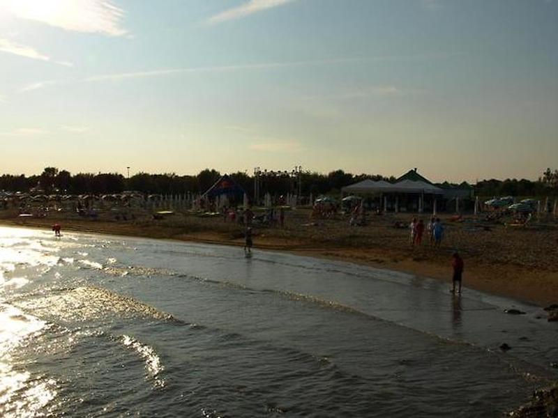 F8AFD9C2093BBDEA9B3BF5F32BF169E3