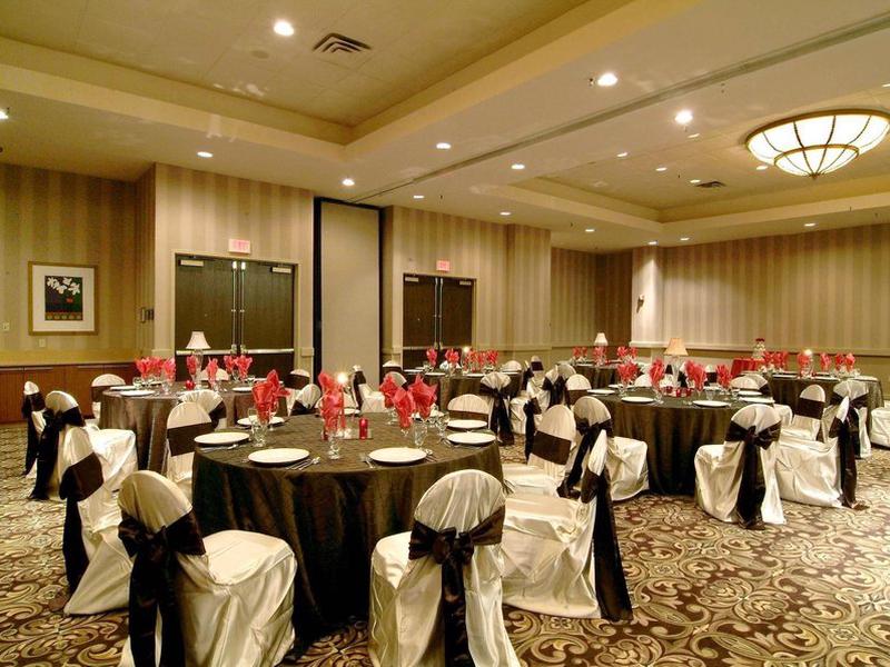 C33644197F09A04850C8A8F88F1CF85C