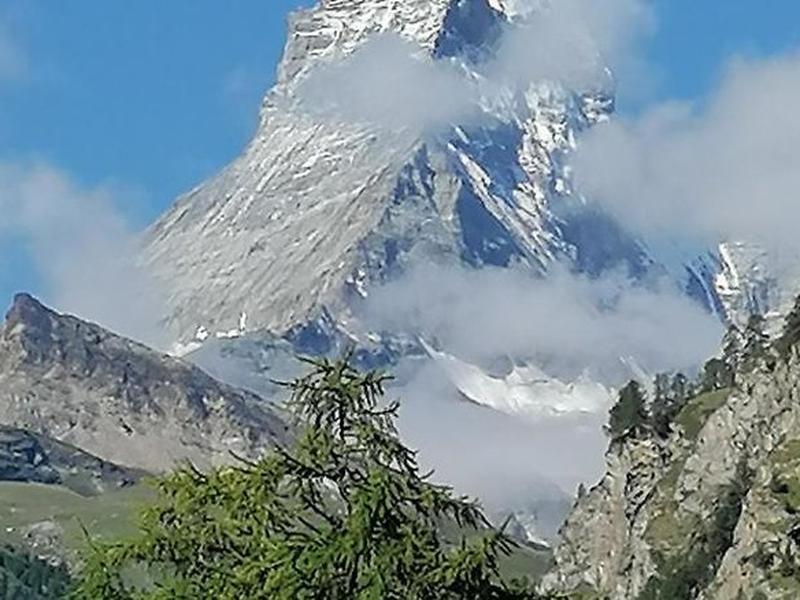 B32B0C91118EAE610049EE4860D368A9