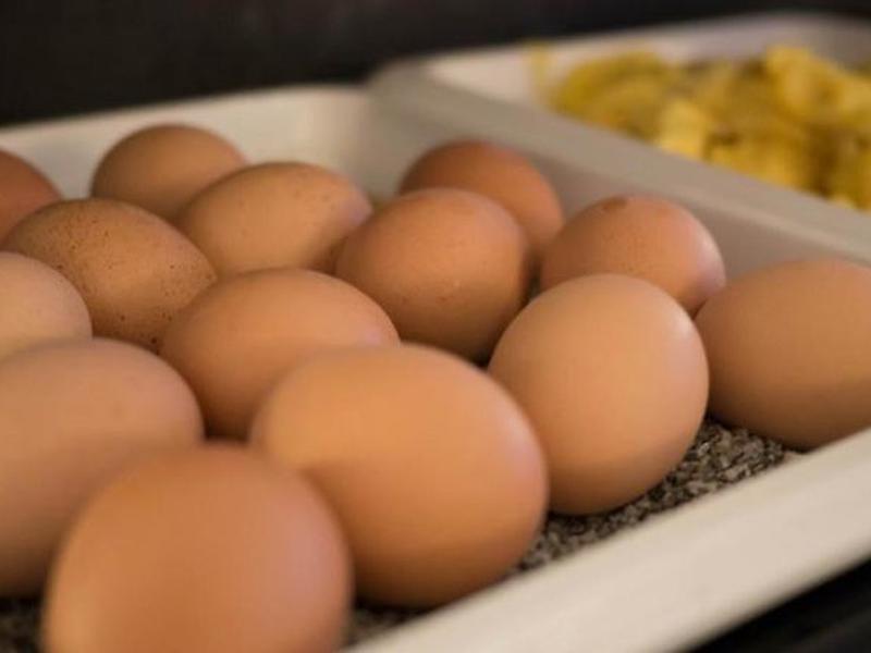 F3BAC29087ECE4761E83F814B9408ED1