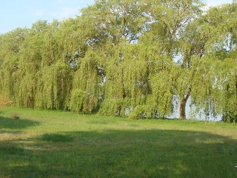 2817562002A99E105F2CF84AB22312B0