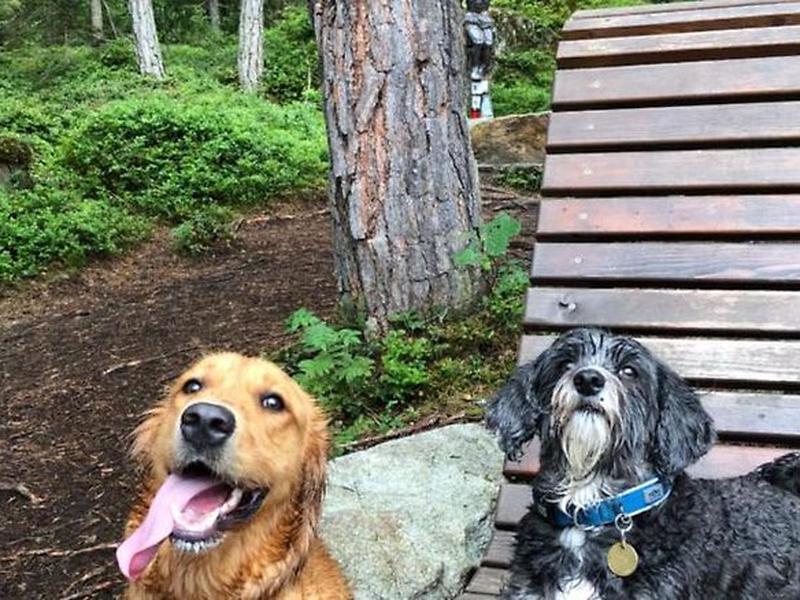 DDFA925864C3E97EE6C899D52A5C5527