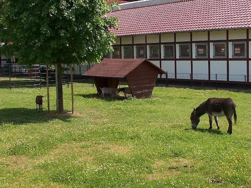 BC07652514AF87D0B598D2A9E380BD03