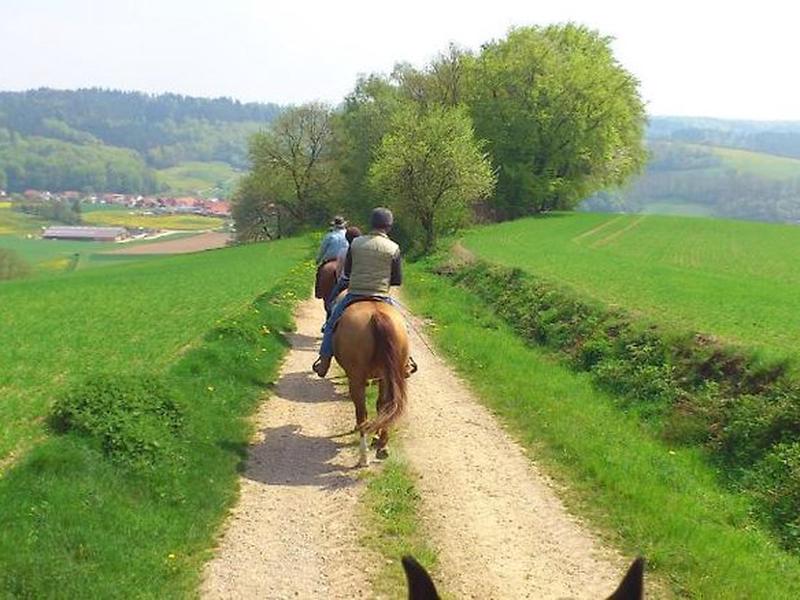 C024A77F9713D8572ED6CBB9B9EA71D8