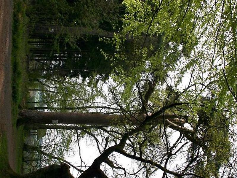 CE00B86BD9DE837AF7B9B2A82A29E203