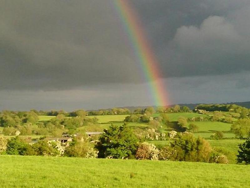 C2D9D62E066F20208AB031761EAAD188