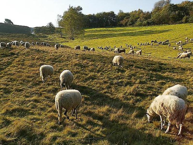 2B570E8A6EFA17D07066C654F313BB04