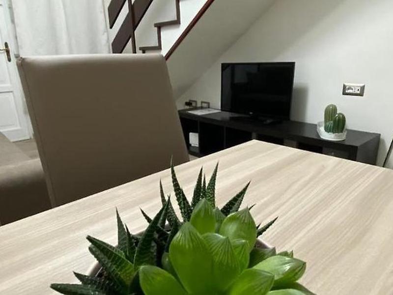 A643142003B6E5455C81A81CF797CFEA