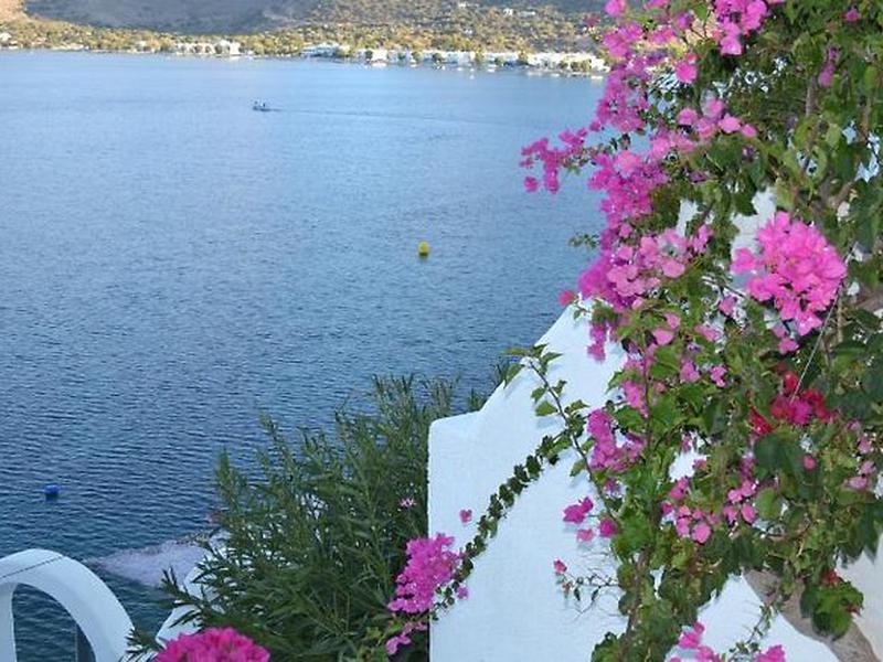 0EEF25BB571F0D6E66660D57CA85C258