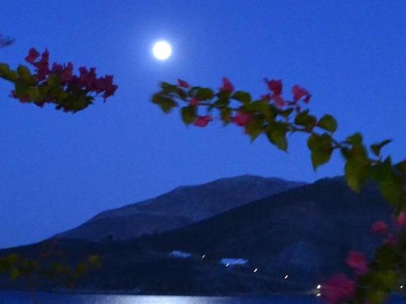 D01220092311A9D6E88BCE2F2DA5CDDE