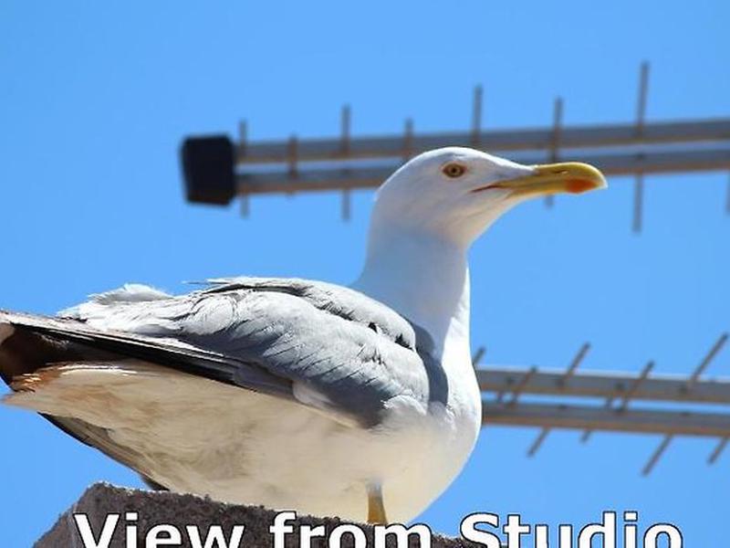 72F79E2BF2565EB6299892278D56CD39