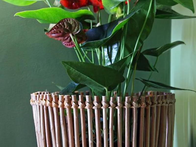 22F5AA8D0CB993FF5925C4B7DF70751D