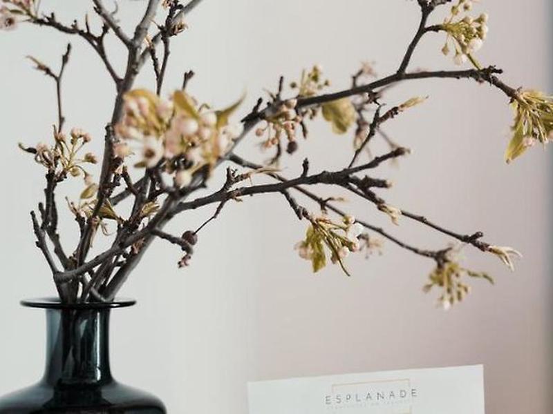 E509342C91A6B3BE14E3F584F483D6C4