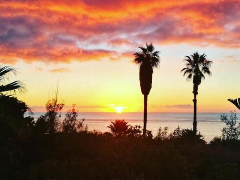 A068BBC36625AE24A2550E29DA155D4F