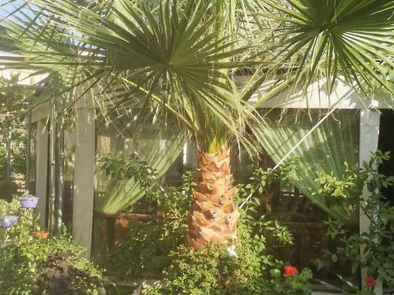 4C81280E1CD9C3EE9106872841A903A4