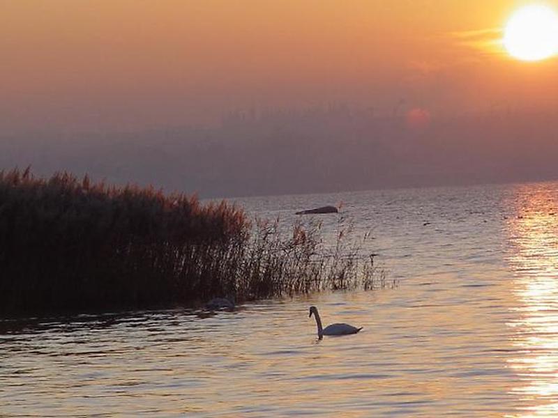 2390BB7E1A56279209AFB7F33FBA0FC1