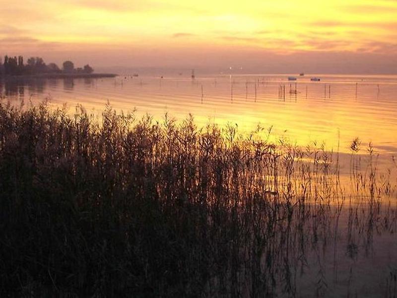 5B3CBEE6ED1A0103EB1E8FDD564EE506