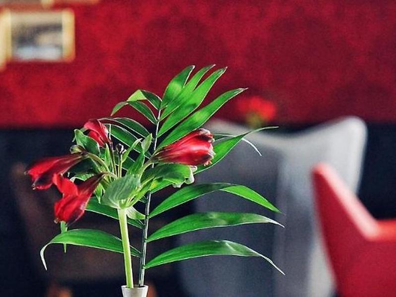 783225BDE3924CCD2C4DC69885AD414C