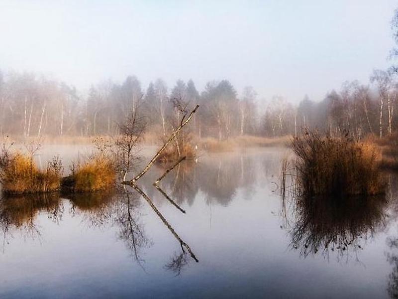 FC4B9BEB9AC897EA59FB437B12CF610D