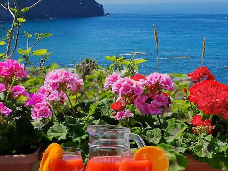 B7D99F216E53FB2362DE6F181308C424