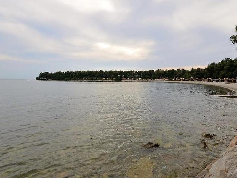 AB99AB8235A8152FD581A8AD900AC0FE