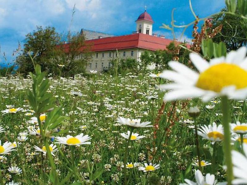 094A473A8CB3C617D27F4A2DB16F783C