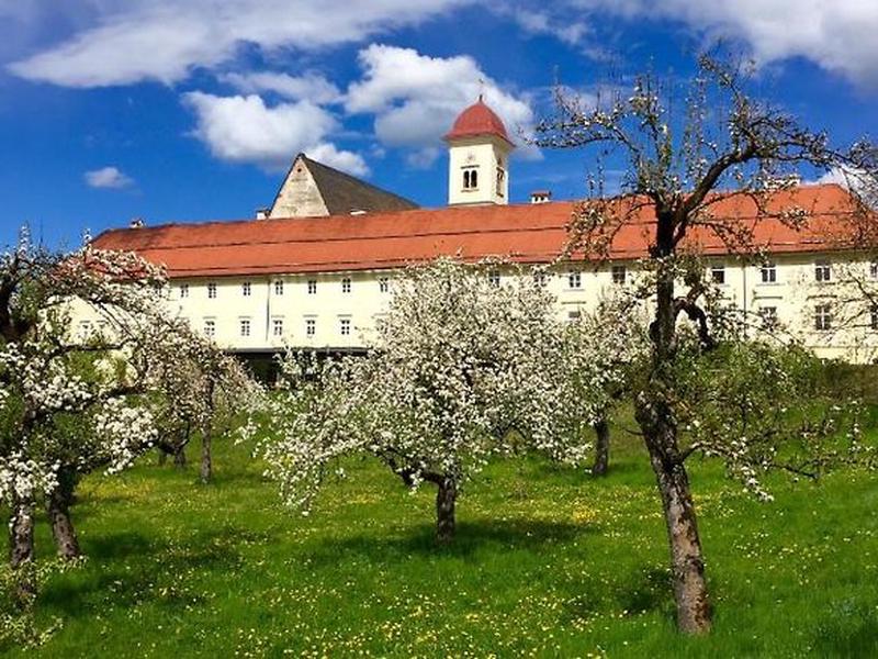 E3E73AFDC16E7A596C0F2398AA38A5CC