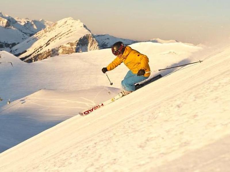 FF55B04E84B0FD43762179F37B245534