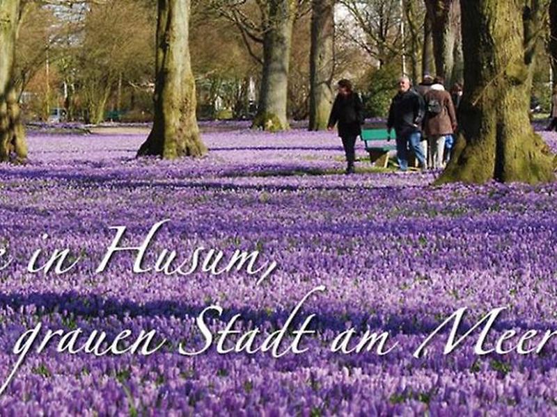 835B5882E3032E3591248FE932265B52