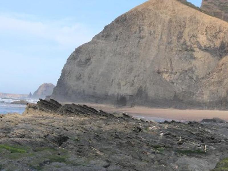 DB9B924C2B9C12BBCEE5BFD0309767E4