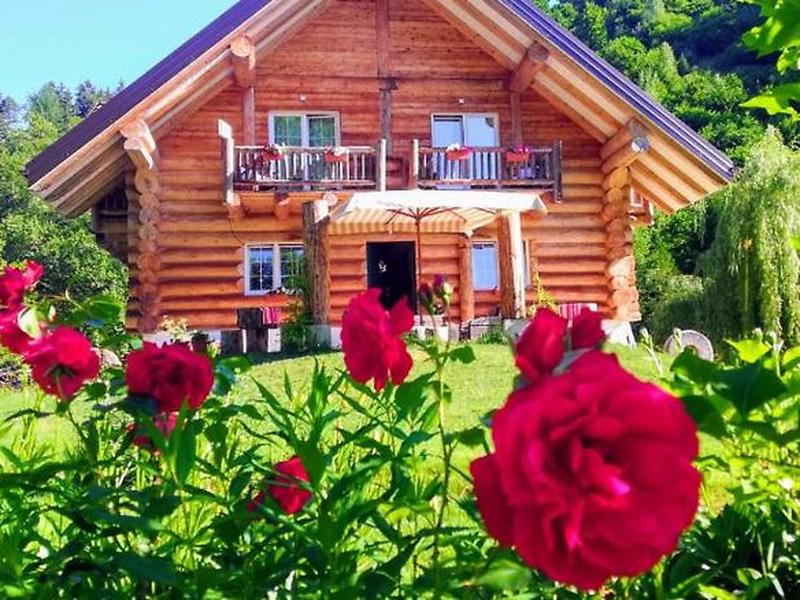 9CD47480EC8C0709449E21E408A8966C