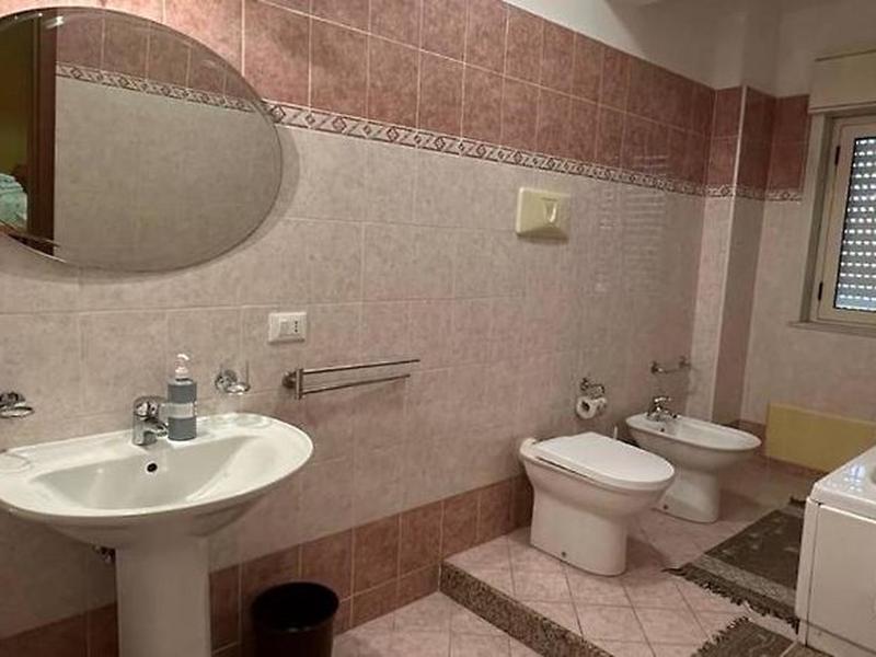 B08F477DEADE12FE46F9D3E261F598A6