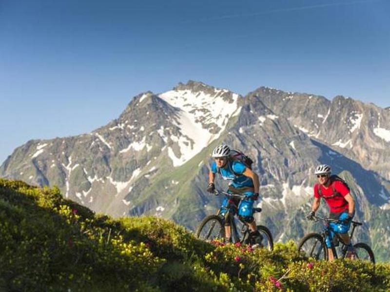 8A7C39DBF54A78DC8FBADDD950EE74EE