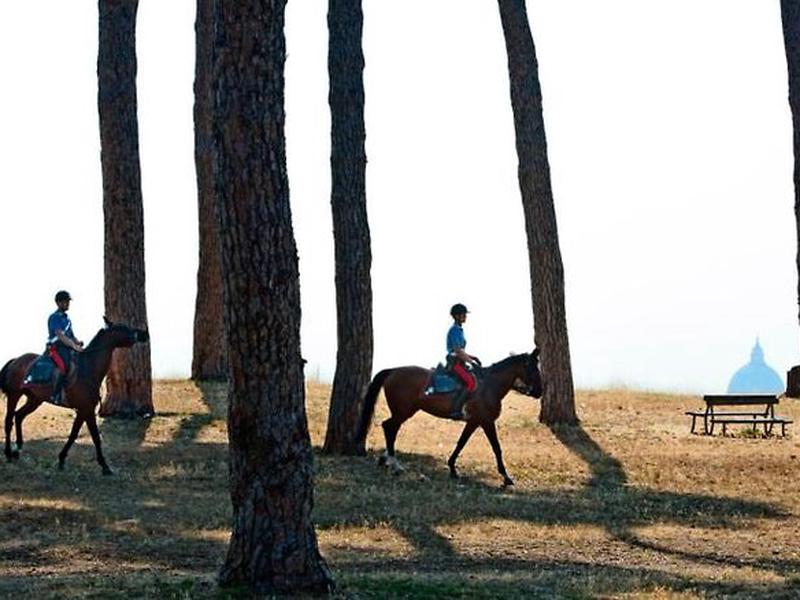 54115DF6E1D9BFC3B5136C833144C9F3