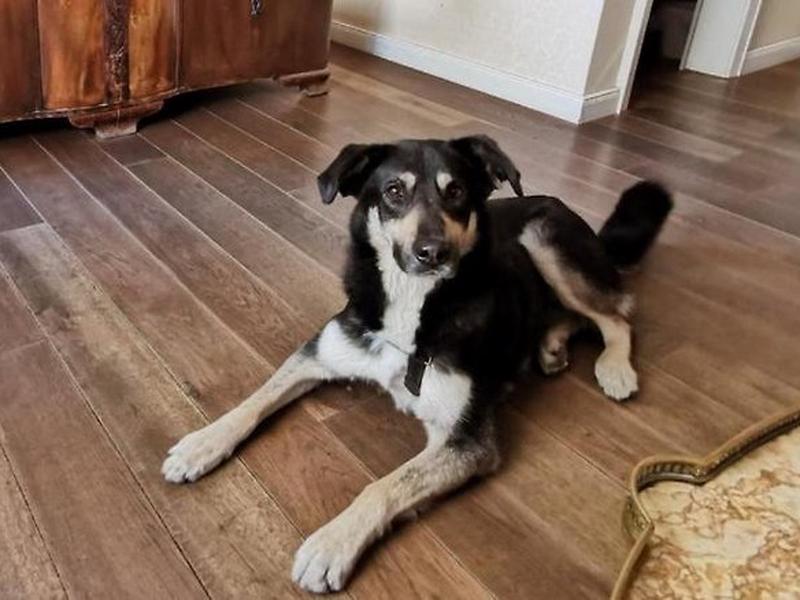 B0081B2A5DCDE5BE2D6F1908BC5B9FE9