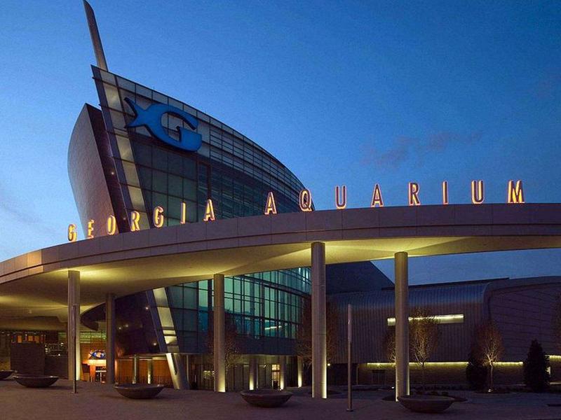 2D83D670187A7BB332F27D04B92F2102