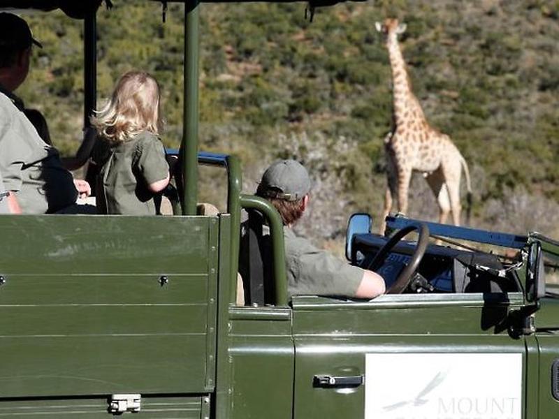 48806F0EA9C529331457A59022A05628