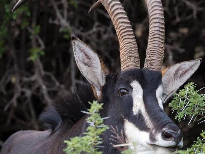 0013DF489362B35F7D0F3FEF0AA3F693