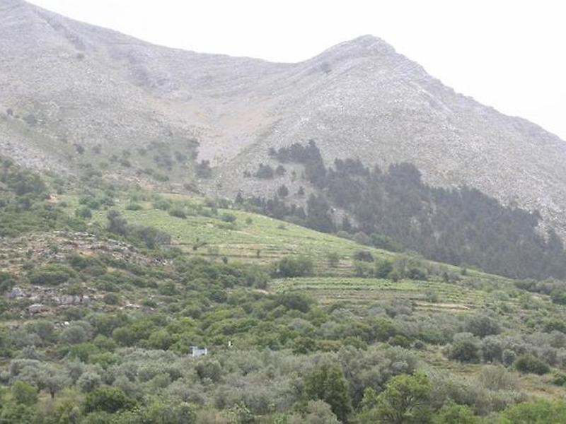 3C2AF802A05F746A9036D39FB9A6542C