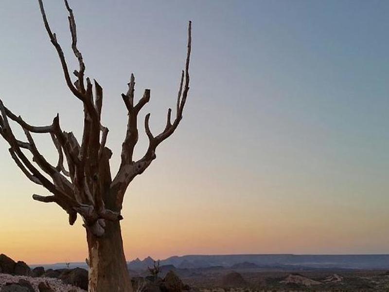 4D92848E3D5818382F1B64799E6581F9